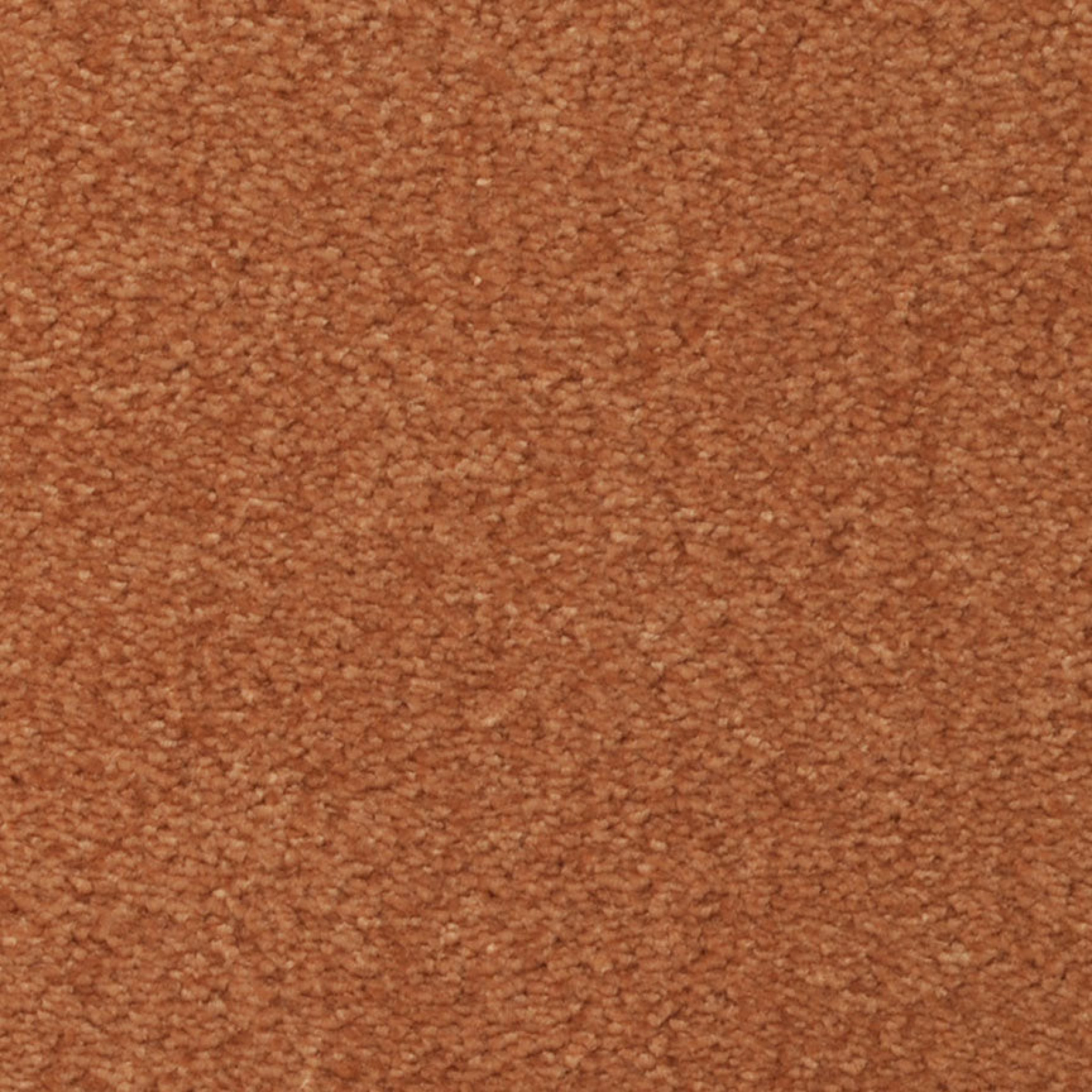 sucduction image carpet.jpg
